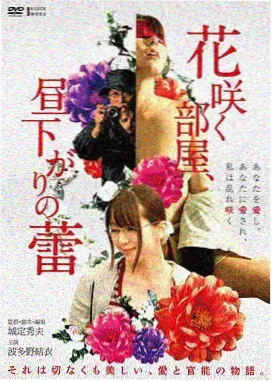逆光追凶剧照